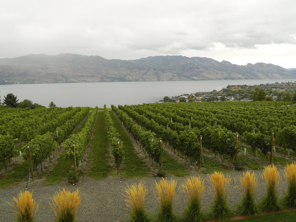 Winedownhere - Lic. 75806 Kelowna Exterior foto